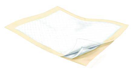 Underpad, Poly 28x36 (24-bg 3bg-cs)                   Kenico Bg - 24